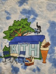 New Kith Treats Seaside Destination Tee Tie Dye Size XSmall US