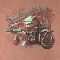 Harley-Davidson Gainesville Florida Motorcycle Graphic T-Shirt Orange Size S NWT