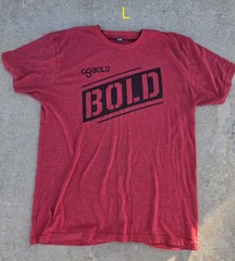 2 – BOLD Women’s L Graphic Print Crew Neck Short Sleeve Cotton Blend Knit Tee