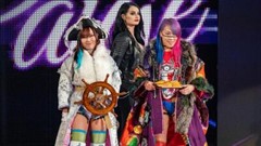 KABUKI WARRIORS LONG SLEEVE SHIRT – OFFICIAL WWE MERCH -VARIOUS SIZES M L XL 2XL