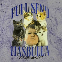 Full Send Hasbulla Kittens Tie Dye Shirt Adult Large Purple Cats Kitty Nelk Boys