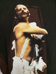 vintage rare freddie mercury Shirt Pleased Read Description