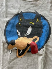 Official Jerry Garcia Family Provisions Wolf Organic T-Shirt M Econscious Brand