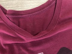 Destiny Burgundy Bungie Team Wolf T-Shirt (See Description)