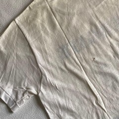 60s-70s BVD Vintage Watergate University Print T-Shirt White M