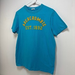 Vintage Abercrombie Muscle Fit Blue Tshirt Men’s Size L Embroidered Y2k