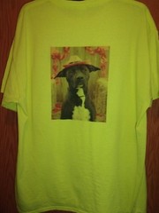 pitbull Dogs Stop the Killing yellow graphic XL t shirt