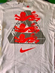 M Nike Palace England Tee White FIFA World Cup football 2026 lions triferg messi