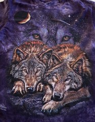 2 The Mountain T-Shirts Tami Alba -Wolves & Bergamo -Against All Odds Bison Sz S