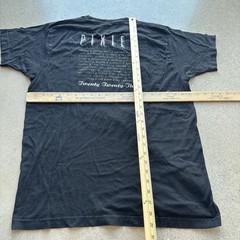 Pixies Band Shirt Mens L Black Doolittle Album Tour 2023 Tultex Indie Rock Tee