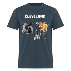 CAVS