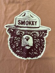 Landmark Project Mens Smokey Bear T-Shirt Medium Sustainable Cotton/Polyester