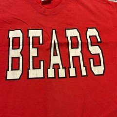 Bears School Spirit Shirt: Team Pride Tee – ,