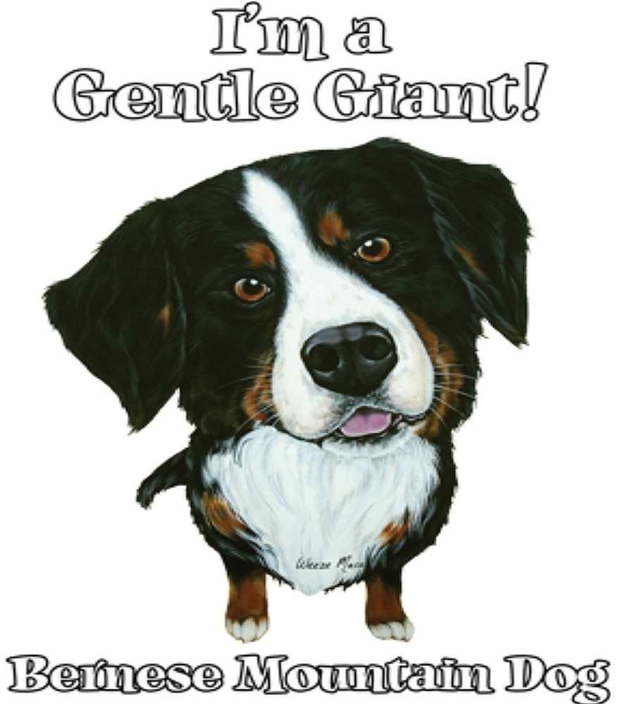 Bernese Mountain Dog Shirt – Gentle Giant – Berner Sennenhund – Small – 5X