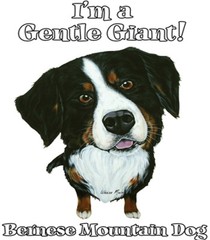 Bernese Mountain Dog Shirt – Gentle Giant – Berner Sennenhund – Small – 5X