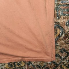 Patagonia P-6 Logo Organic Cotton Tee | Large | Desert Orange Sustainable Flaw