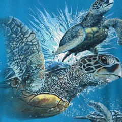 + Vintage Y2K Turtles Ocean Shirt – Blue – Gulf Specimen Marine Lab Florida – L