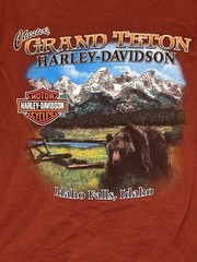 2013 Harley Davidson Grand Teton Idaho Falls Tee Cyan Biker Graphic Shirt Size L