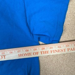 Gildan Heavy Cotton Priceless Pets Rescue Volunteer T-Shirt Blue Size M