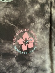 The Color Morale – Desolate Divine – Band T Shirt Men’s Medium M Acid Wash