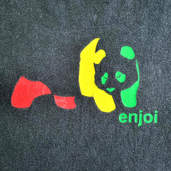 Vintage ENJOI Skateboards Shirt M Rodney Mullen Almost Skate Rasta Panda Jacuzzi