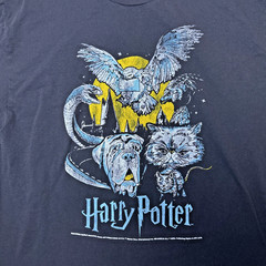Harry Potter Mens Graphic T Shirt Hogwarts Houses Streetwear Fandom Crewneck XL