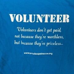 Gildan Heavy Cotton Priceless Pets Rescue Volunteer T-Shirt Blue Size M