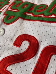 Los Angeles Dodgers MEXICO WEST COAST “Viva Mexico Cabrones” Jersey 20# READ