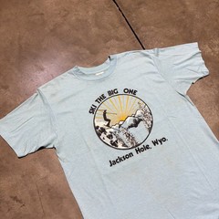 Vintage 80s Jackson Hole Wyoming T Shirt Men M Blue Ski Outdoor Nature Art USA