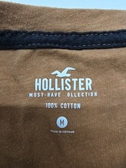Hollister Men’s Brown Striped Logo Crew Neck T-Shirt Size M Excellent