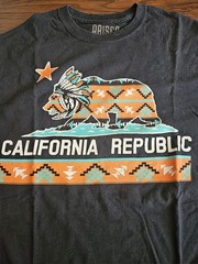 Brisco Apparel California Republic Medium Shirt Black Mens T-shirt Tee