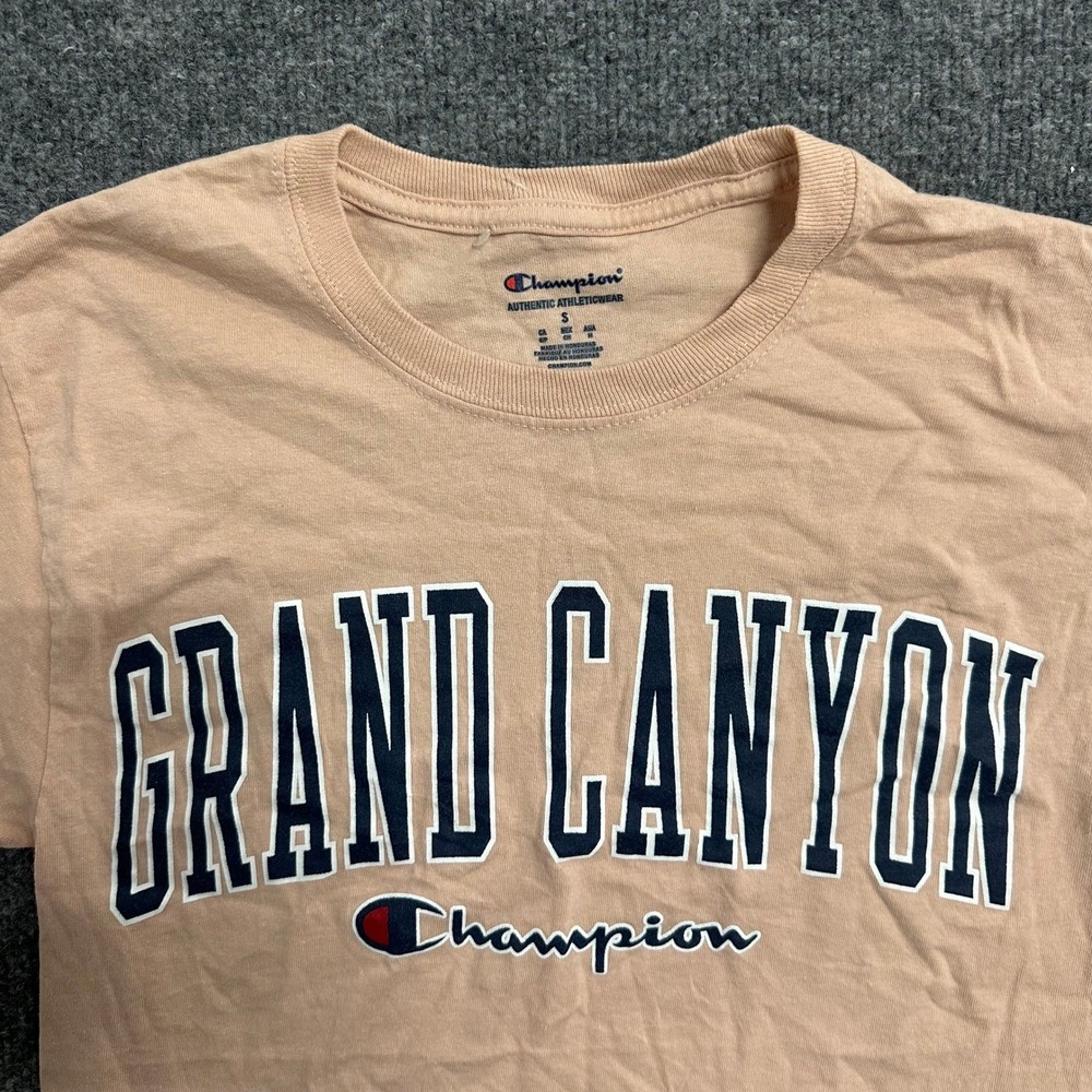 Champion T-Shirt Mens Size S Tan Grand Canyon Graphic Short Sleeve Athletic Tee