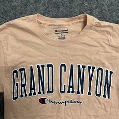 Champion T-Shirt Mens Size S Tan Grand Canyon Graphic Short Sleeve Athletic Tee
