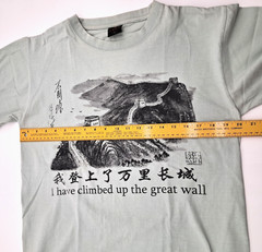 VTG I Have Climbed Up the Great Wall Graphic China T-Shirt Size L Sage Green