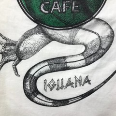Vintage Hard Rock Cafe Shirt Mens XL Iguana Costa Rica Y2K GIANT Tag Grunge *