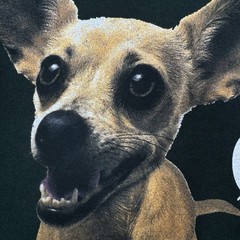 Vintage 1998 Taco Bell Chihuahua T-Shirt Green Men’s Size L