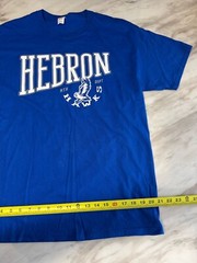 Fruit Of The Loom Short-sleeve Mens Graphic Print Casual T-shirt Sz L Ultra Blue