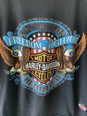 Vintage 90’s Harley Davidson Sleveless Tank Eagle Freedom Highway USA Tag (L)