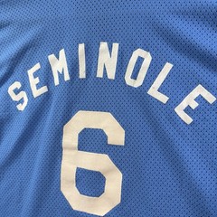 VTG 70s Nylon Mesh Flock Printed V Neck Jersey Mens M Blue Baseball Football