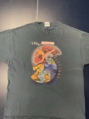 Vintage 1996 Ann Arbor Summer Festival Single Stitch T-shirt XL