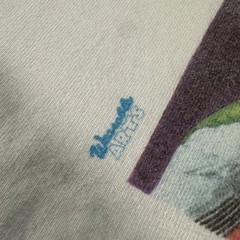 Vintage Hanes Heavyweight Shirt Mens XL White Bird Wildlife Graphic Made USA 90s