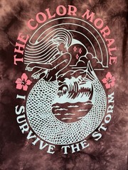 The Color Morale – Desolate Divine – Band T Shirt Men’s Medium M Acid Wash