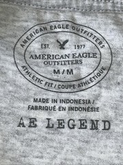 American Eagle Athletic Fit Size M T Shirt Gray A&E Legend