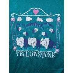 Vintage Mount Rushmore Shirt South Dakota Yellowstone Tee VTG 1989 80s 1980s M