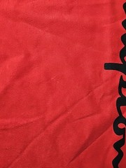 Champion Classic Jersey Script T-Shirt Scarlet Size 2XL