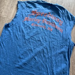Harley Davidson Grunge Biker Faded North Carolina Speedway T-Shirt – Size L Blue
