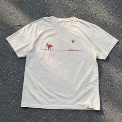 Deftones “White Pony” Graphic T-Shirt – Minimalist Band Merch