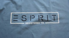 Esprit Mens T-Shirt 3XL, 4XL, 5XL Turquoise, Dove Blue, Cotton, Cotton