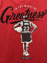 Nike Jordan Mens T Shirt Lot 4 Pack Michael Jordan 23 Fear Of Heights Graphic L