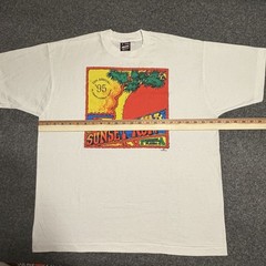 Vtg 90’s Running Shirt XL Fruit of The Loom Best Sunset Run Double Sided Graphic